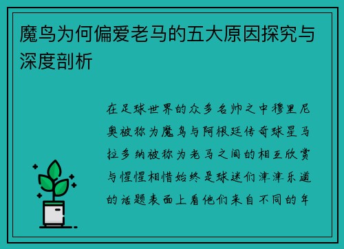 魔鸟为何偏爱老马的五大原因探究与深度剖析