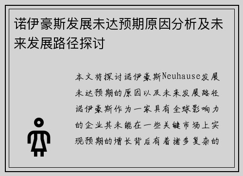 诺伊豪斯发展未达预期原因分析及未来发展路径探讨 诺伊豪斯发展未达预期原因分析及未来发展路径探讨