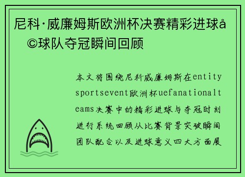 尼科·威廉姆斯欧洲杯决赛精彩进球助球队夺冠瞬间回顾
